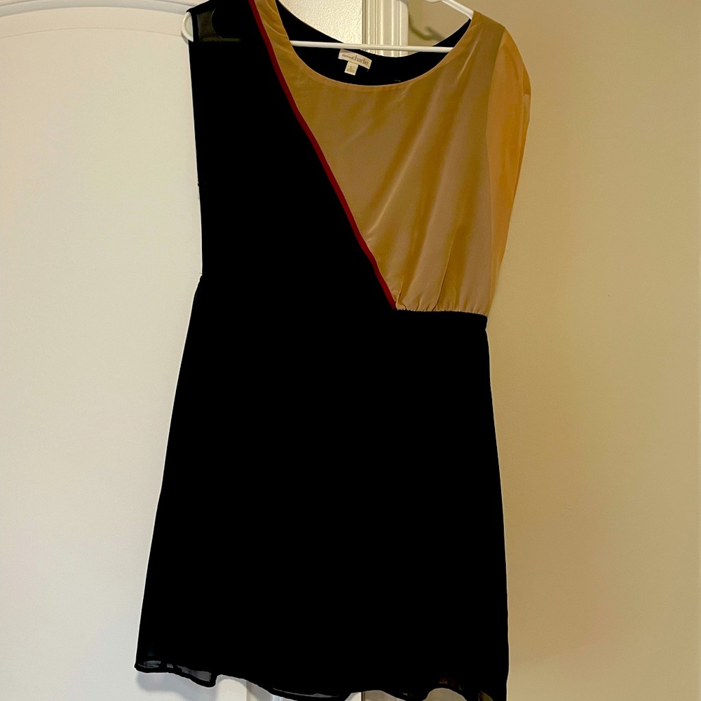 Charming Charlie dress